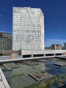 barcelona planes para hacer