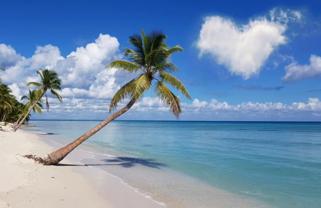 Cómo moverse por República Dominicana