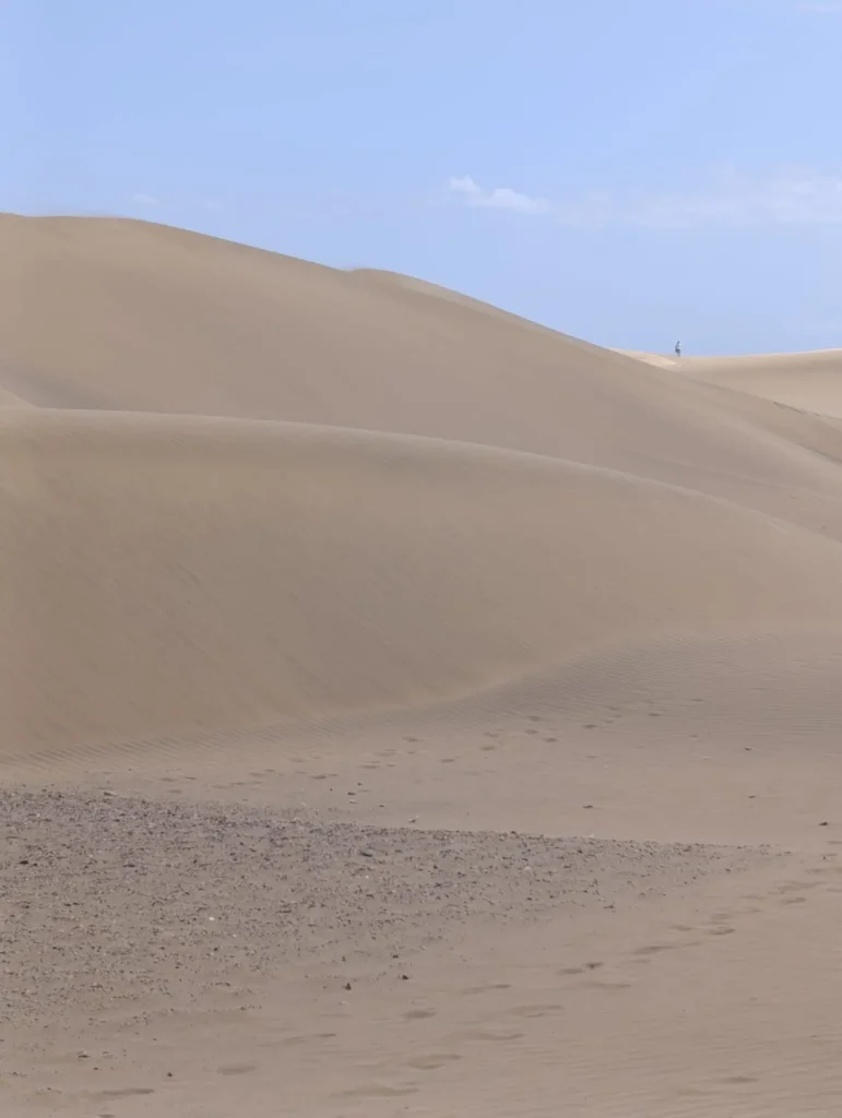 qué ver en Maspalomas